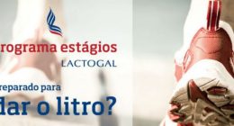 Programa_Estágios_Lactogal