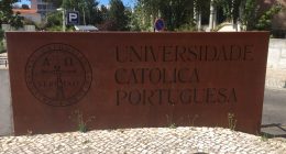 UCP_1