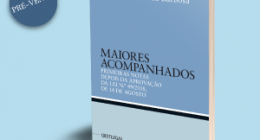 Publicidade-300X250-2